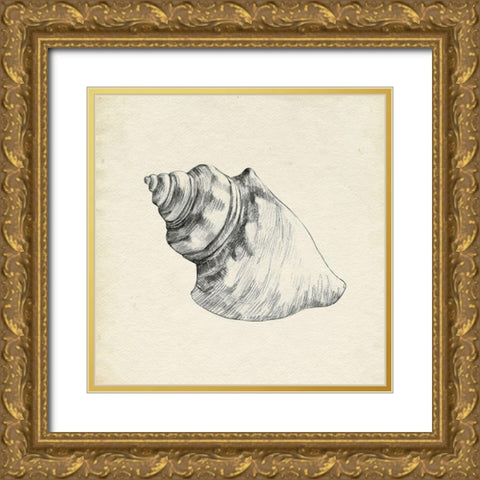 Seashell Pencil Sketch IV Gold Ornate Wood Framed Art Print with Double Matting by Caroline, Emma