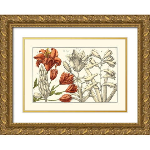Embellished Arena Botanical I Gold Ornate Wood Framed Art Print with Double Matting by Arena