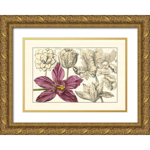 Embellished Arena Botanical IV Gold Ornate Wood Framed Art Print with Double Matting by Arena