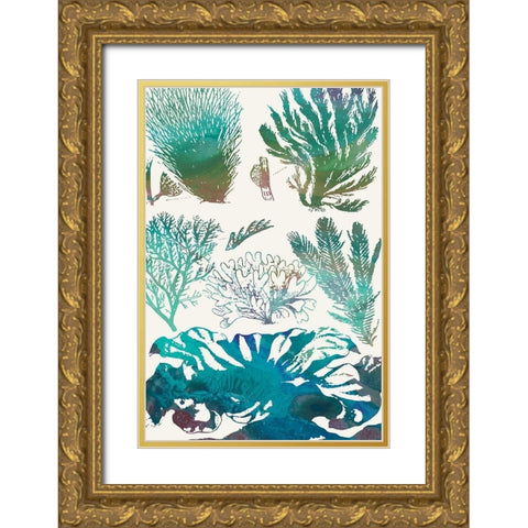 Aquatic Assemblage II Gold Ornate Wood Framed Art Print with Double Matting by Chandler, Sharon