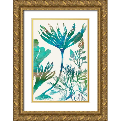 Aquatic Assemblage IV Gold Ornate Wood Framed Art Print with Double Matting by Chandler, Sharon