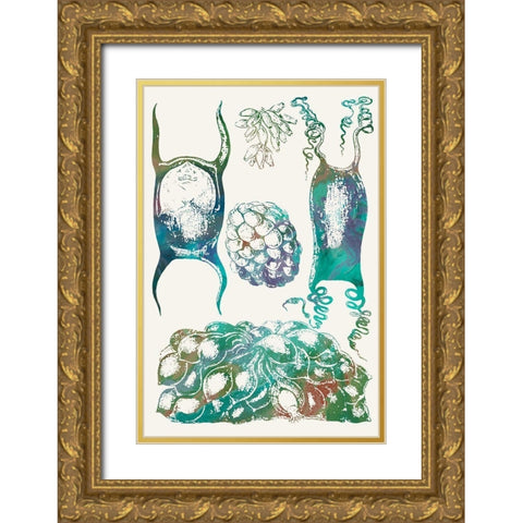 Aquatic Assemblage VI Gold Ornate Wood Framed Art Print with Double Matting by Chandler, Sharon