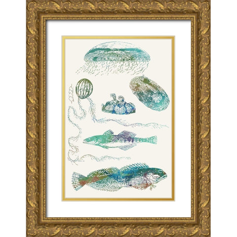 Aquatic Assemblage IX Gold Ornate Wood Framed Art Print with Double Matting by Chandler, Sharon