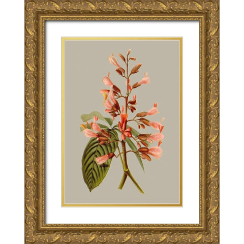 Botanical Array I Gold Ornate Wood Framed Art Print with Double Matting by Vision Studio