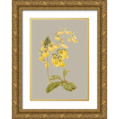 Botanical Array III Gold Ornate Wood Framed Art Print with Double Matting by Vision Studio