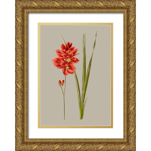 Botanical Array IV Gold Ornate Wood Framed Art Print with Double Matting by Vision Studio