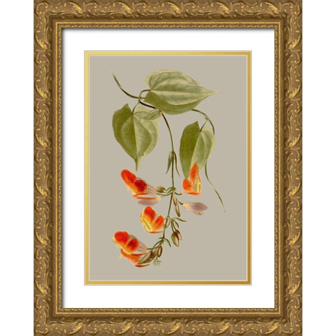 Botanical Array VI Gold Ornate Wood Framed Art Print with Double Matting by Vision Studio