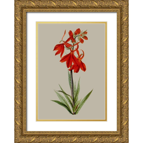 Botanical Array VII Gold Ornate Wood Framed Art Print with Double Matting by Vision Studio