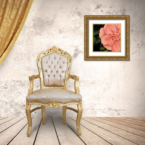 Dramatic Camellia I Gold Ornate Wood Framed Art Print with Double Matting by Vision Studio