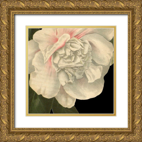 Dramatic Camellia II Gold Ornate Wood Framed Art Print with Double Matting by Vision Studio