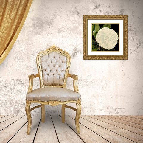 Dramatic Camellia IV Gold Ornate Wood Framed Art Print with Double Matting by Vision Studio