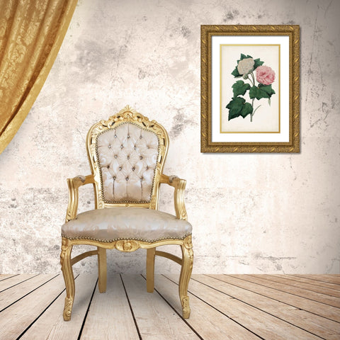 Vintage Rose Clippings II Gold Ornate Wood Framed Art Print with Double Matting by Vision Studio