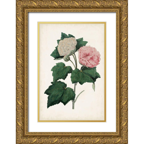 Vintage Rose Clippings II Gold Ornate Wood Framed Art Print with Double Matting by Vision Studio