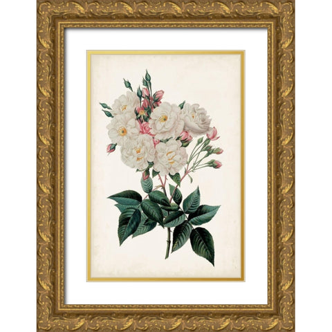 Vintage Rose Clippings IV Gold Ornate Wood Framed Art Print with Double Matting by Vision Studio