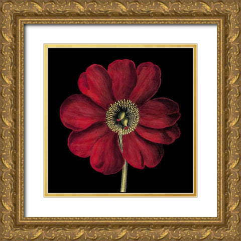 Dramatic Blooms I Gold Ornate Wood Framed Art Print with Double Matting by Vision Studio