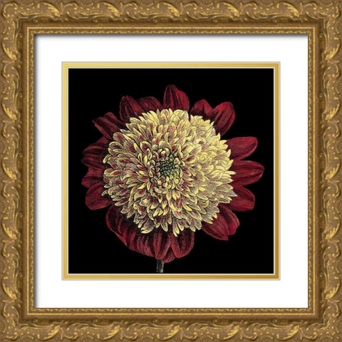 Dramatic Blooms II Gold Ornate Wood Framed Art Print with Double Matting by Vision Studio