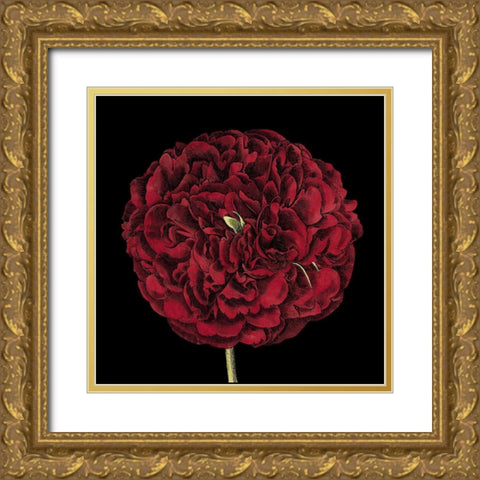 Dramatic Blooms III Gold Ornate Wood Framed Art Print with Double Matting by Vision Studio