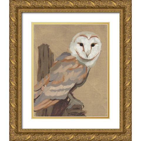Common Barn Owl Portrait I Gold Ornate Wood Framed Art Print with Double Matting by Green, Jacob