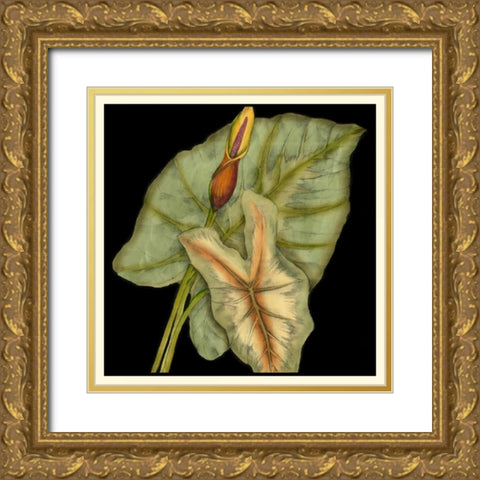 Graphic Tropicals I Gold Ornate Wood Framed Art Print with Double Matting by Goldberger, Jennifer