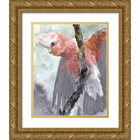 Tropic Parrot II Gold Ornate Wood Framed Art Print with Double Matting by Stellar Design Studio