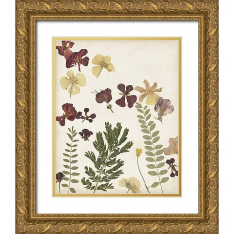 Pressed Flower Arrangement I Gold Ornate Wood Framed Art Print with Double Matting by Moore, Regina