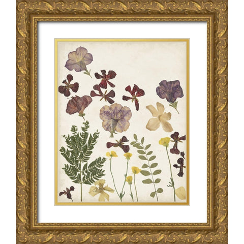 Pressed Flower Arrangement IV Gold Ornate Wood Framed Art Print with Double Matting by Moore, Regina