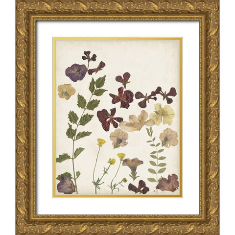 Pressed Flower Arrangement V Gold Ornate Wood Framed Art Print with Double Matting by Moore, Regina