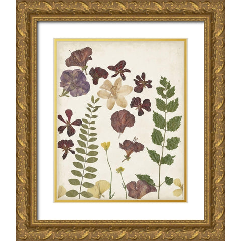 Pressed Flower Arrangement VI Gold Ornate Wood Framed Art Print with Double Matting by Moore, Regina