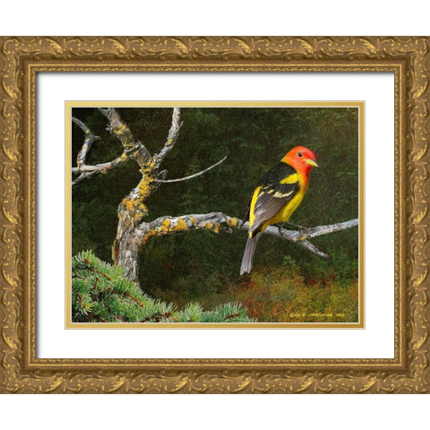 On the Branch I Gold Ornate Wood Framed Art Print with Double Matting by Vest, Chris