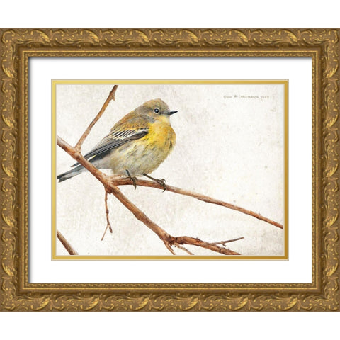 On the Branch III Gold Ornate Wood Framed Art Print with Double Matting by Vest, Chris