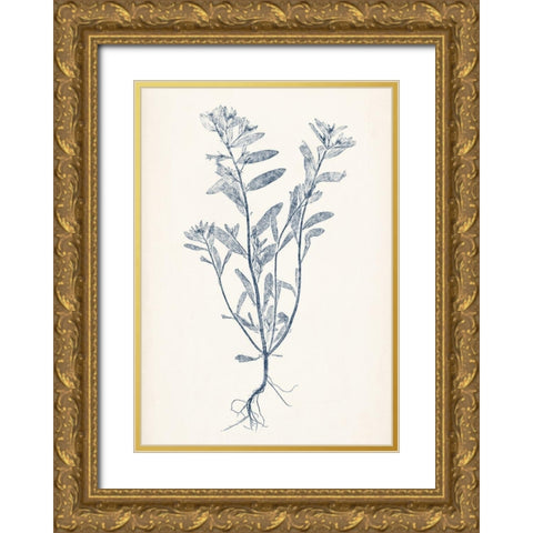 Navy Botanicals II Gold Ornate Wood Framed Art Print with Double Matting by Vision Studio