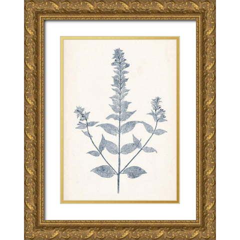 Navy Botanicals VII Gold Ornate Wood Framed Art Print with Double Matting by Vision Studio