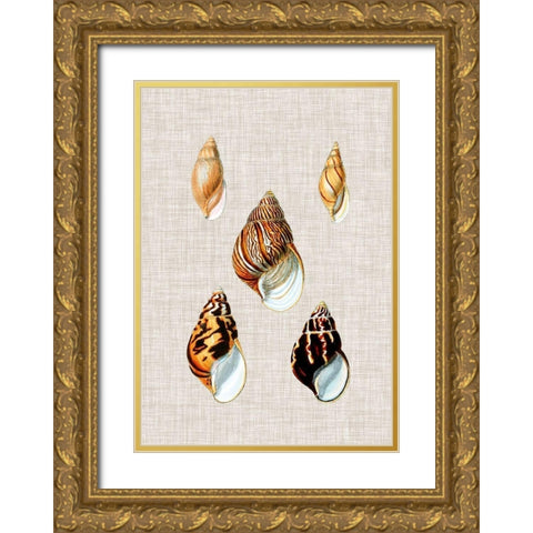 Antique Shells on Linen II Gold Ornate Wood Framed Art Print with Double Matting by Vision Studio