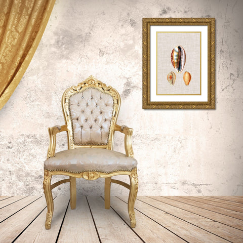 Antique Shells on Linen V Gold Ornate Wood Framed Art Print with Double Matting by Vision Studio