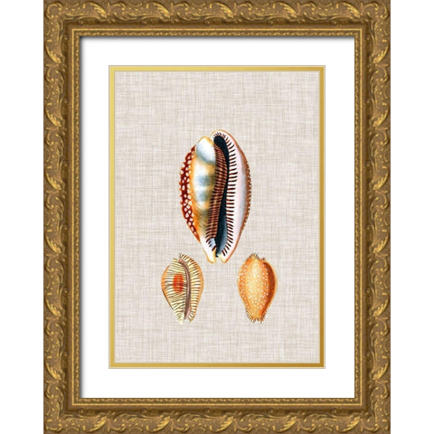 Antique Shells on Linen V Gold Ornate Wood Framed Art Print with Double Matting by Vision Studio