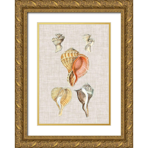 Antique Shells on Linen VI Gold Ornate Wood Framed Art Print with Double Matting by Vision Studio