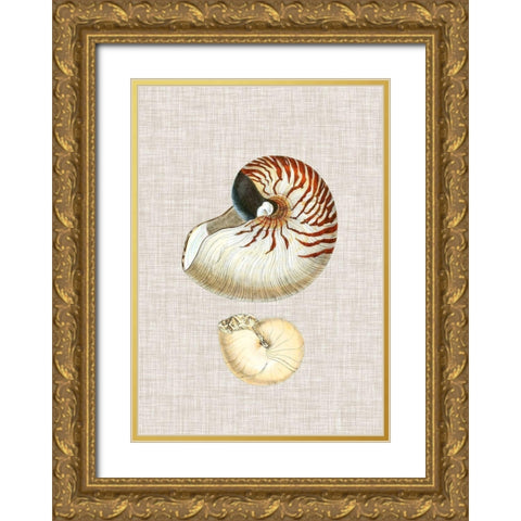 Antique Shells on Linen VII Gold Ornate Wood Framed Art Print with Double Matting by Vision Studio