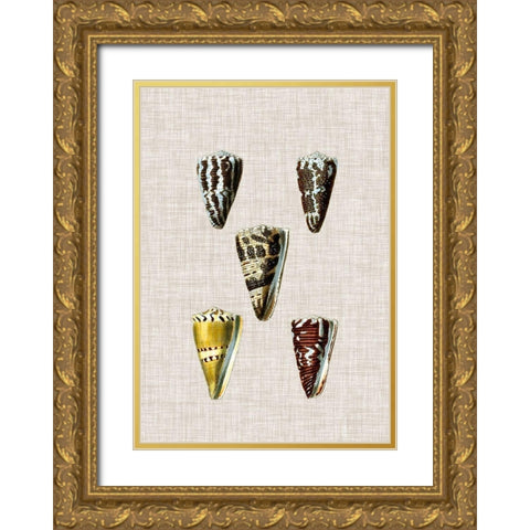Antique Shells on Linen VIII Gold Ornate Wood Framed Art Print with Double Matting by Vision Studio