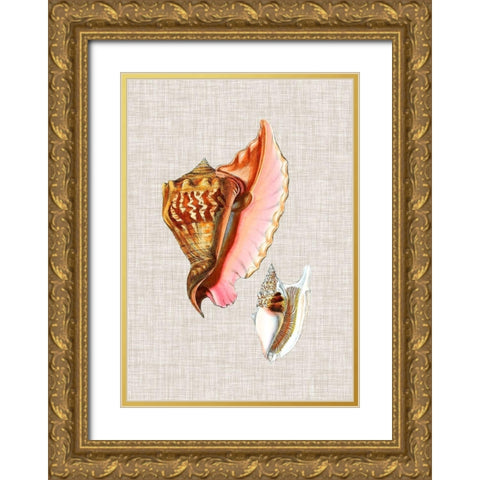 Antique Shells on Linen IX Gold Ornate Wood Framed Art Print with Double Matting by Vision Studio