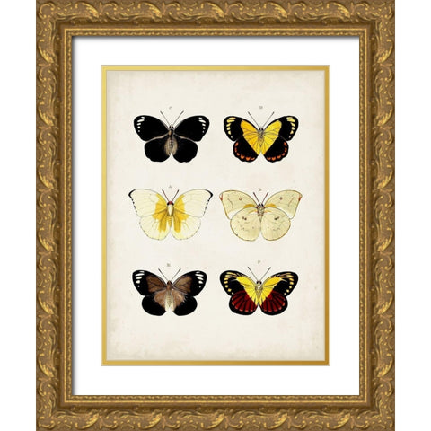 Vintage Butterflies I Gold Ornate Wood Framed Art Print with Double Matting by Vision Studio