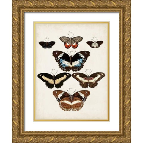 Vintage Butterflies II Gold Ornate Wood Framed Art Print with Double Matting by Vision Studio