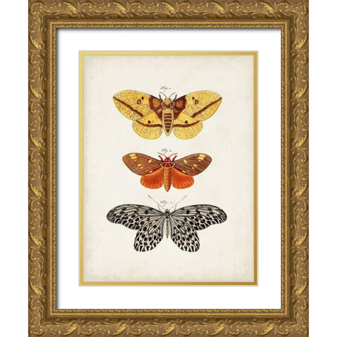 Vintage Butterflies IV Gold Ornate Wood Framed Art Print with Double Matting by Vision Studio