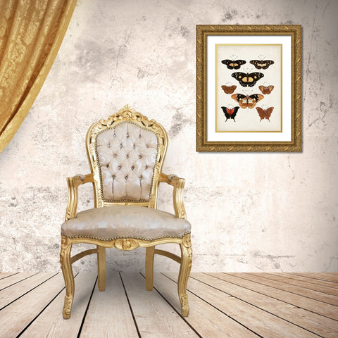 Vintage Butterflies V Gold Ornate Wood Framed Art Print with Double Matting by Vision Studio