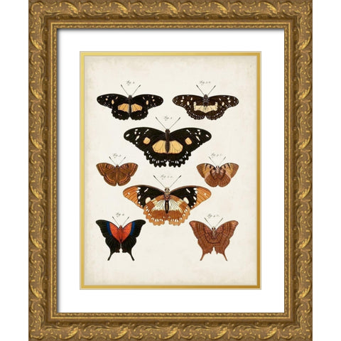 Vintage Butterflies V Gold Ornate Wood Framed Art Print with Double Matting by Vision Studio