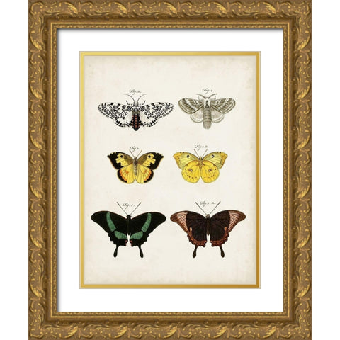 Vintage Butterflies VI Gold Ornate Wood Framed Art Print with Double Matting by Vision Studio