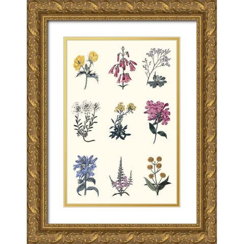 Antique Floral Chart Gold Ornate Wood Framed Art Print with Double Matting by Vision Studio