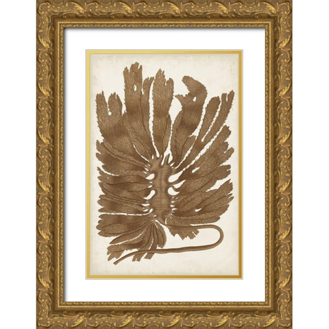 Sepia Seaweed I Gold Ornate Wood Framed Art Print with Double Matting by Vision Studio