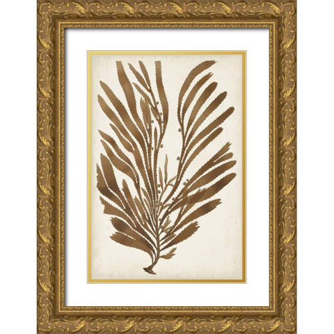 Sepia Seaweed II Gold Ornate Wood Framed Art Print with Double Matting by Vision Studio