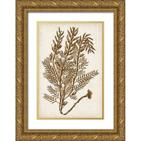 Sepia Seaweed IV Gold Ornate Wood Framed Art Print with Double Matting by Vision Studio