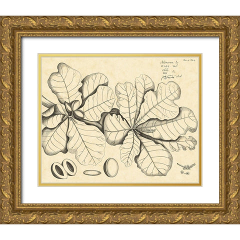 Vintage Leaf Study I Gold Ornate Wood Framed Art Print with Double Matting by Von Drakenstein, H.